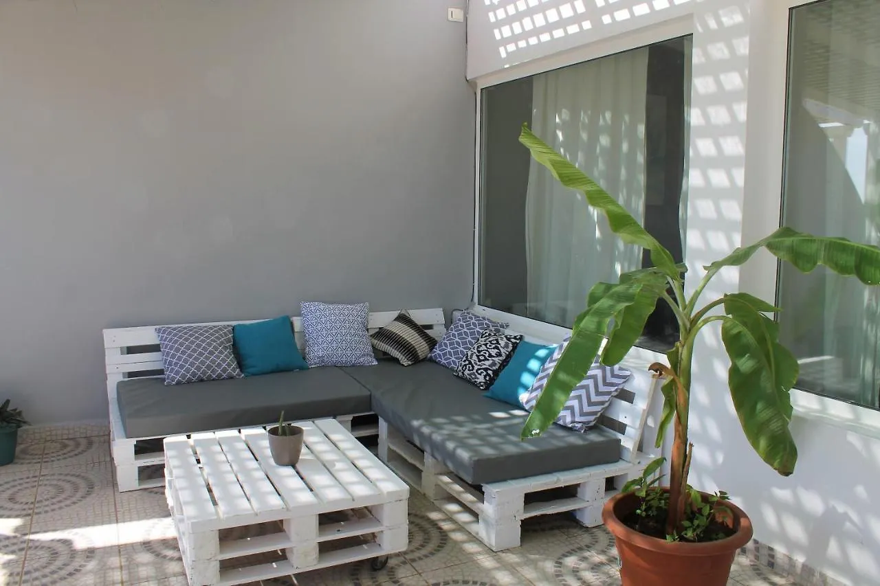 살 레이 Tropical Leaves Sea View Penthouse Ca Greta 2 Floor 아파트 카보베르데